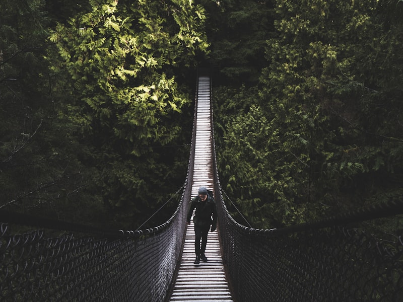 Golden Skybridge suspension bridge adventure park